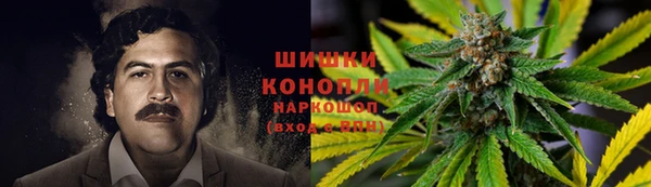 spice Абинск