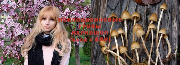 прущий лед Абдулино