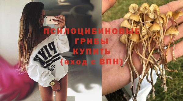 круглые Абаза