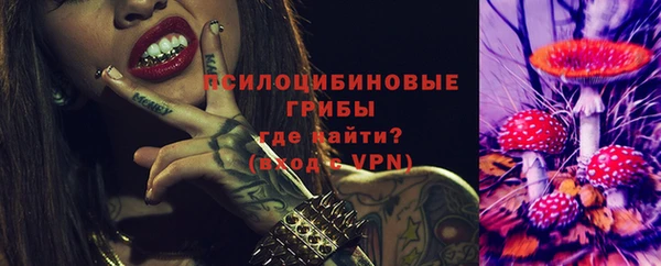 spice Абинск