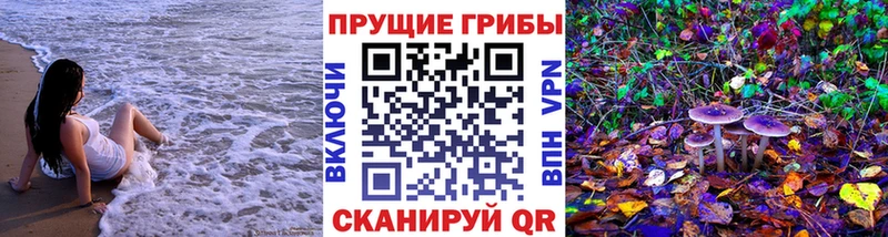 Псилоцибиновые грибы Cubensis  гидра как зайти  Воронеж 